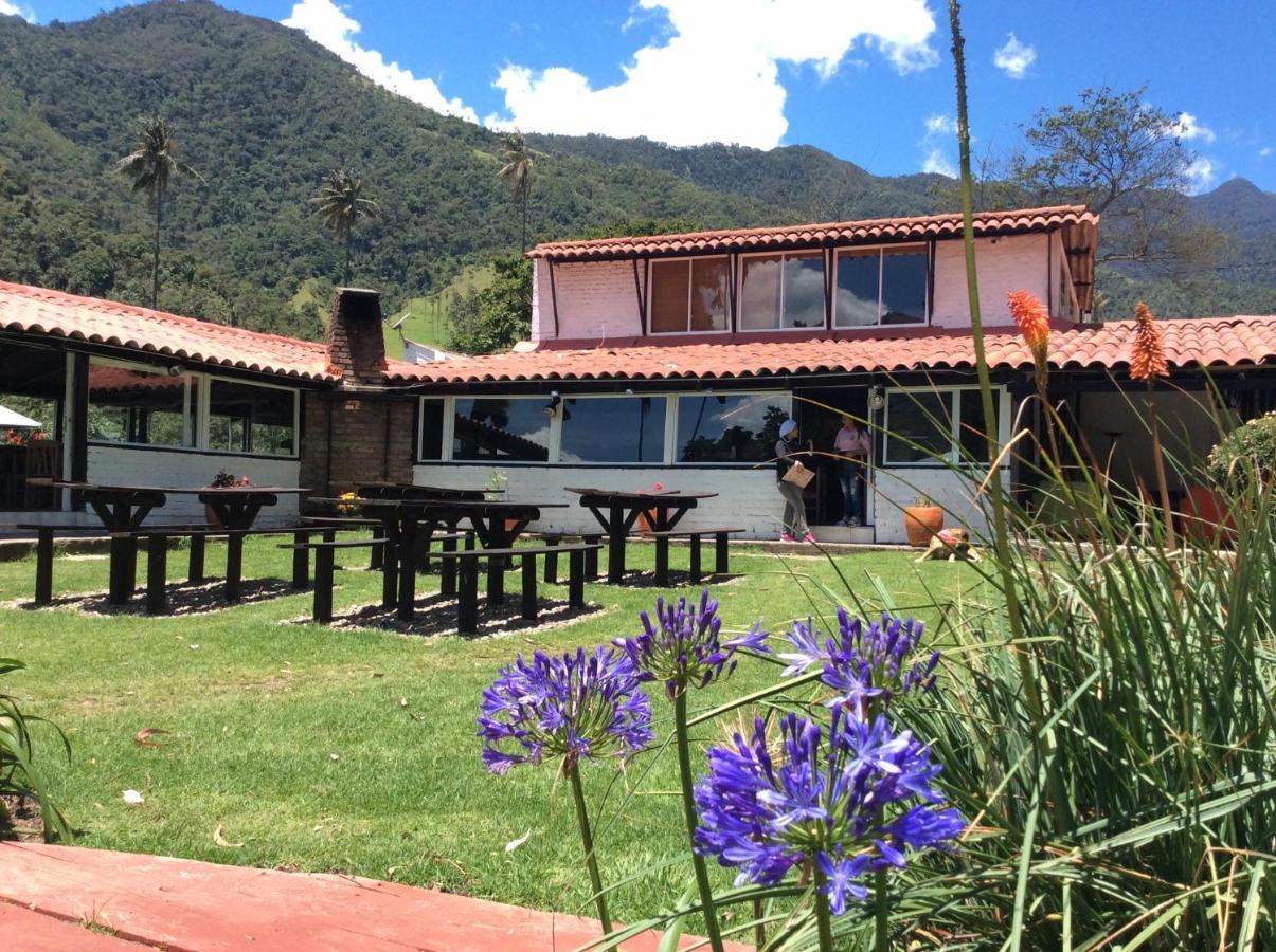 Palmas De Cocora Guest House Salento Ngoại thất bức ảnh