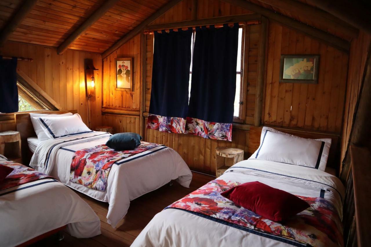 Palmas De Cocora Guest House Salento Ngoại thất bức ảnh