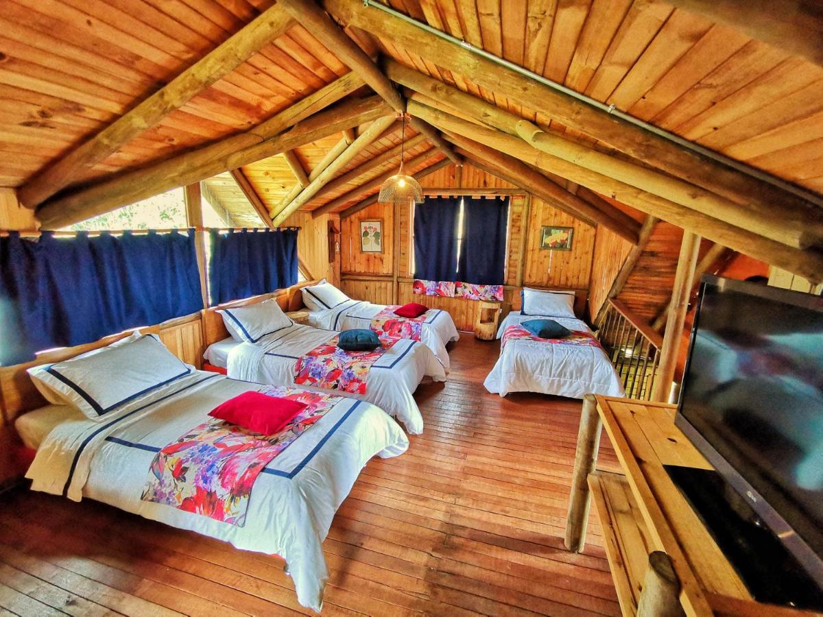 Palmas De Cocora Guest House Salento Ngoại thất bức ảnh
