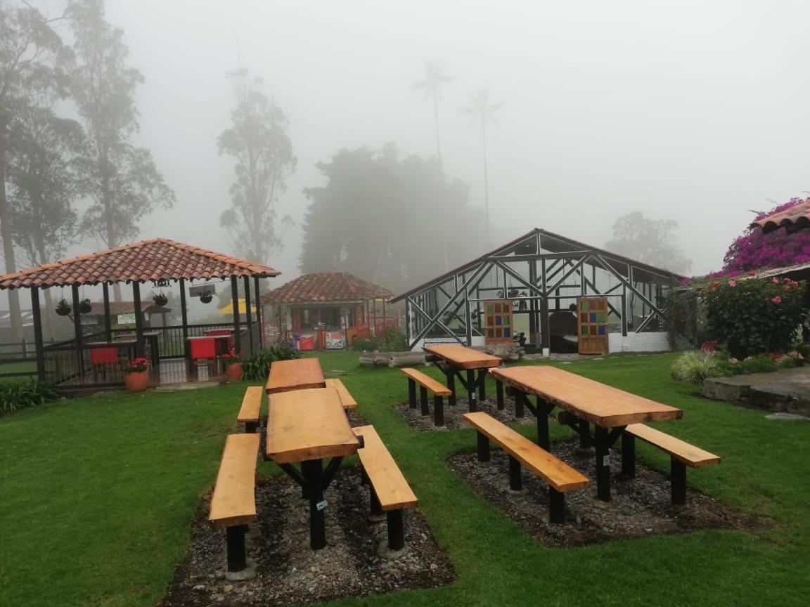 Palmas De Cocora Guest House Salento Ngoại thất bức ảnh